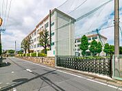 八王子市立第七中学校迄800ｍ