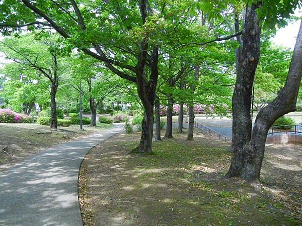 周辺を拡大表示