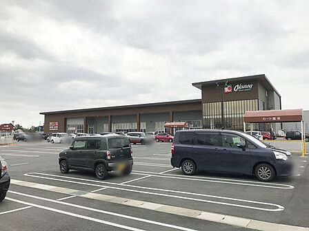 オークワ豊橋ミラまち店（700m）