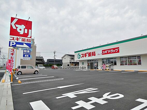 スギドラッグ　...