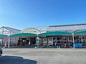 グリーンセンター磯辺店 （410m）