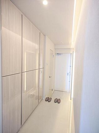 玄関の大きな収...