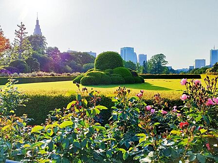 国立国際医療研究センター病院（193ｍ）