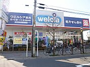 ウエルシア板橋下赤塚店（140m）