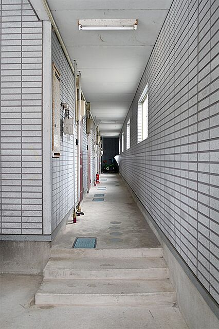 5 / 9