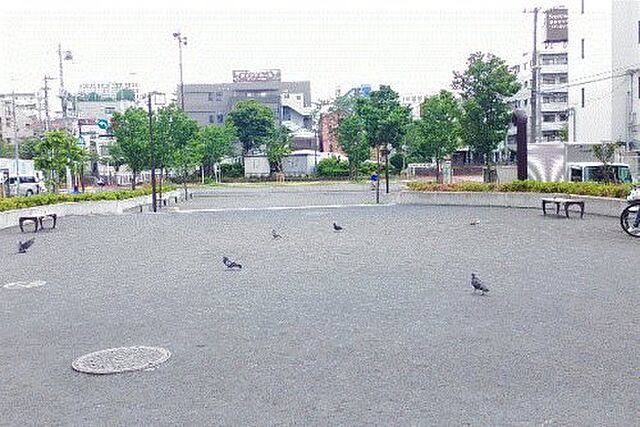 周辺