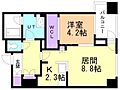 プライムメゾン南2条12階11.0万円