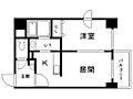 シュクル医大南6階5.4万円