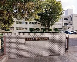 ミュール