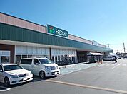 スーパー「フレッセイ赤堀店まで531m」