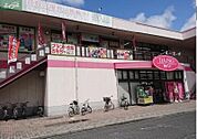 ザ・ダイソー岡山岡南店 657m
