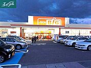 ザ・ビッグ奥田南店 453m
