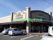 ニシナフードバスケット南輝店 144m