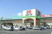 ハローズ円山店 1026m