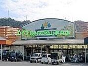 ニシナフードバスケット玉野長尾店 185m
