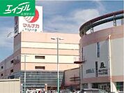 山陽マルナカマスカット店 497m