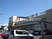 ハローズ総社店 488m