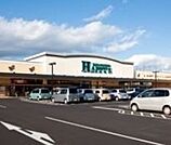 天満屋ハピーズ円山店 477m