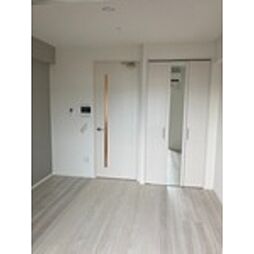 LANDICPREMIUMO115 1Kの写真