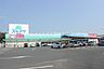 周辺：ドラッグスギヤマ三ノ輪店 305m
