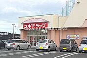 スギドラッグ神野店 509m