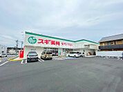 スギドラック豊橋三本木店 352m