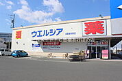 ウエルシア湖西新所原店 1303m