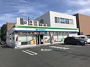 ファミリーマート豊橋東脇店 282m