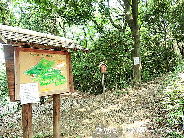 周辺を拡大表示