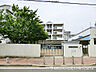 周辺：長津田保育園530ｍ