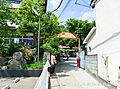 綱島幼稚園10...