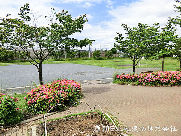周辺を拡大表示