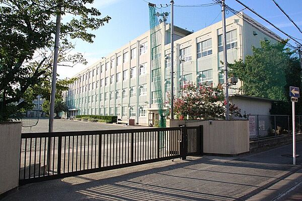 画像16:名古屋市立野並小学校 444m