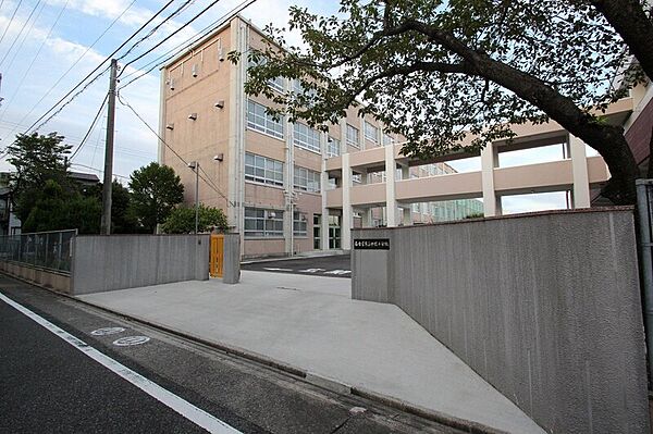 画像29:名古屋市立中根小学校 328m
