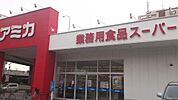アミカ堀田店 185m