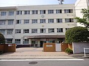 名古屋市立若宮商業高校 310m