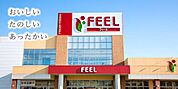 FRESH FOODS FEEL(フレッシュフーズフィール 250m