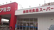 アミカ堀田店 320m