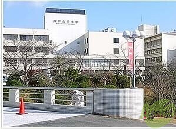 画像10:神戸女子大学 3778m