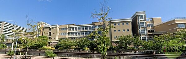 周辺：神戸市立夢野の丘小学校 656m