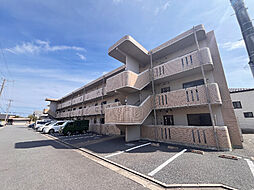 セントラル・フェスタIV