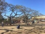 笹川中央保育園 1520m