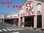 セイミヤ 1000m