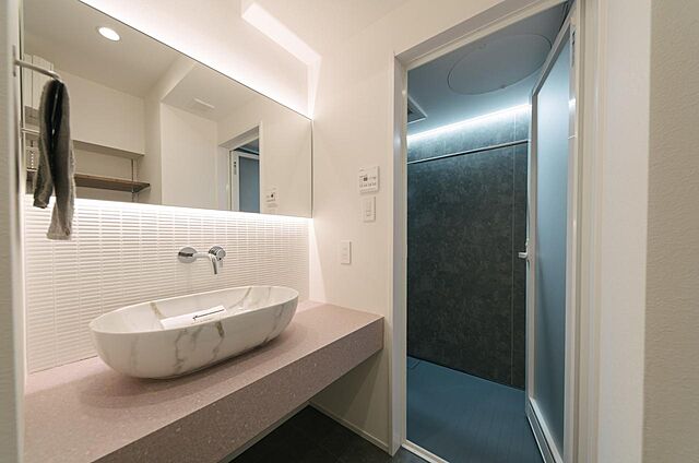 洗面 メゾン青山 3階/302