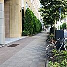 ビル前面道路