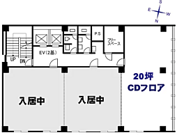 白王