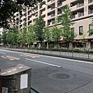 ビル前面道路