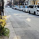 前面は並木通り