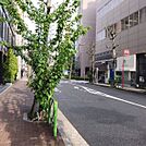 ビル前面道路