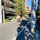 ビル前面道路